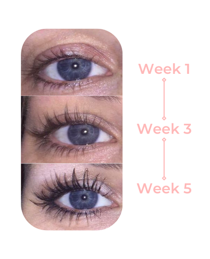 Chicluno Eyelash Growth Serum