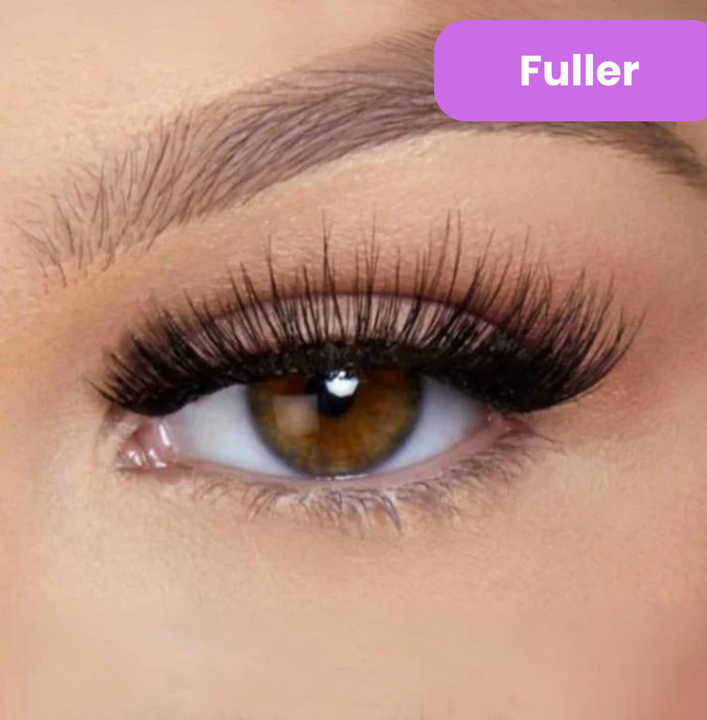 Chicluno Magnetic Lashes