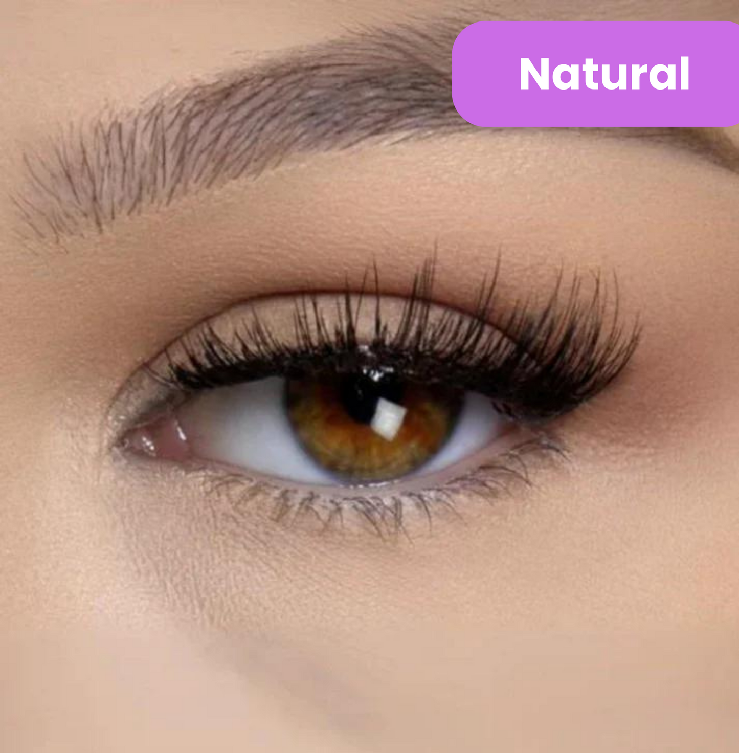 Chicluno Magnetic Lashes