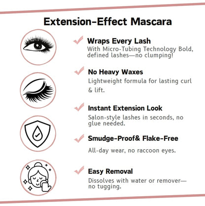 2025 Mascara black & brown duo for lash makeup